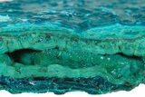 Brilliant Teal Botryoidal Chrysocolla and Malachite - Chile #299554-1